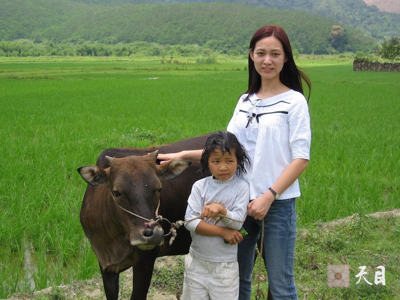 2004年五一节邹宜均（出家前的果实法师）随双亲下乡-牛