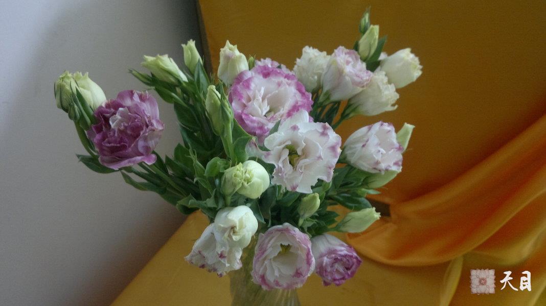 20110212果实法师驻锡深圳常青居士供养的益田豪园居佛堂期间常喜常信居士供养的佛像和鲜花