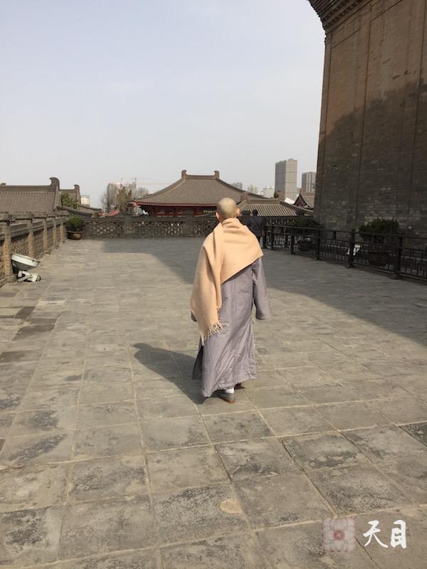 20150215果实法师带领果芳居士到西安大慈恩寺瞻仰大雁塔2