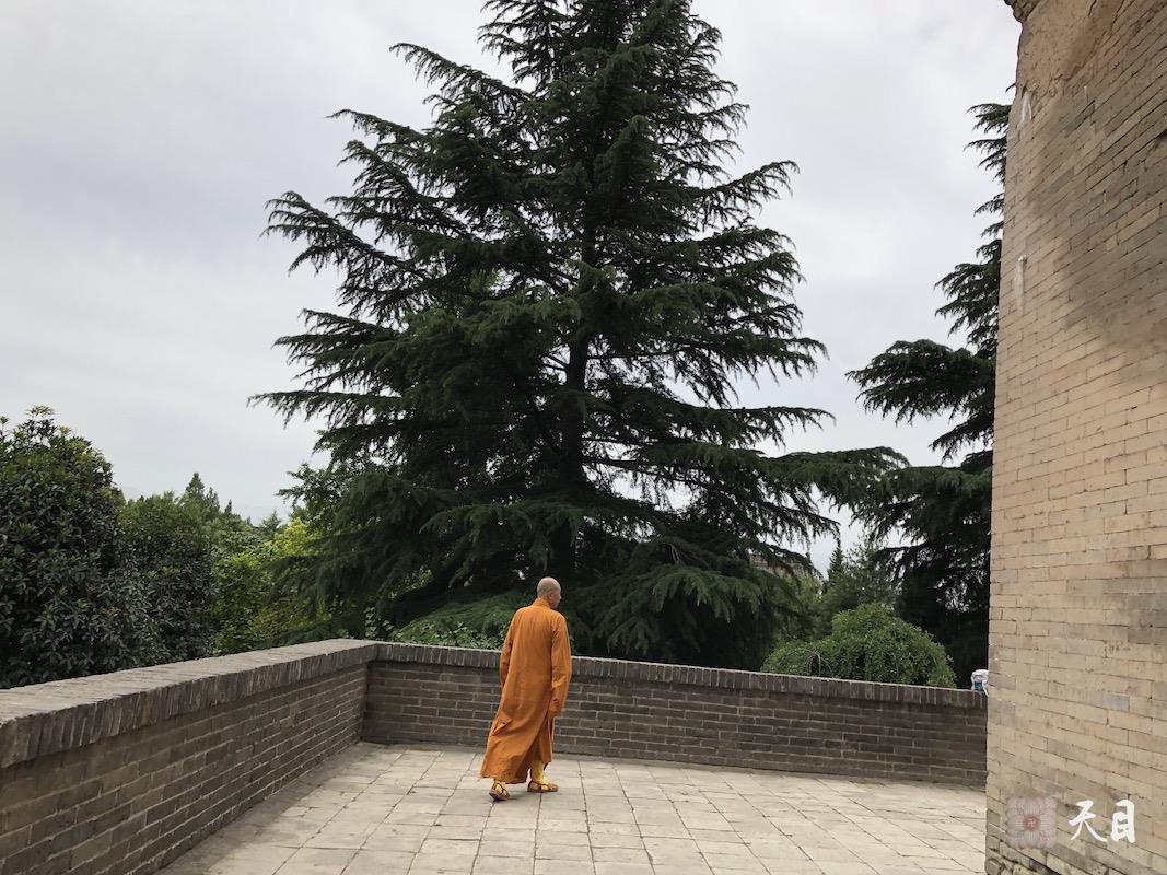 20180528圣观法师带领果实法师等弟子在西安净土宗祖庭香积寺参学3