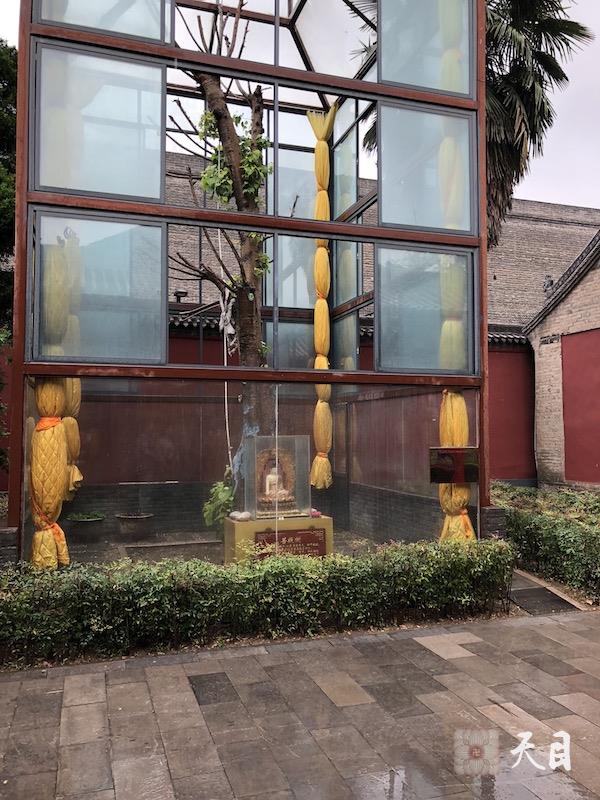 20180608圣观法师带领果实法师等弟子在西安绿度母道场藏传格鲁派寺院广仁寺参学5