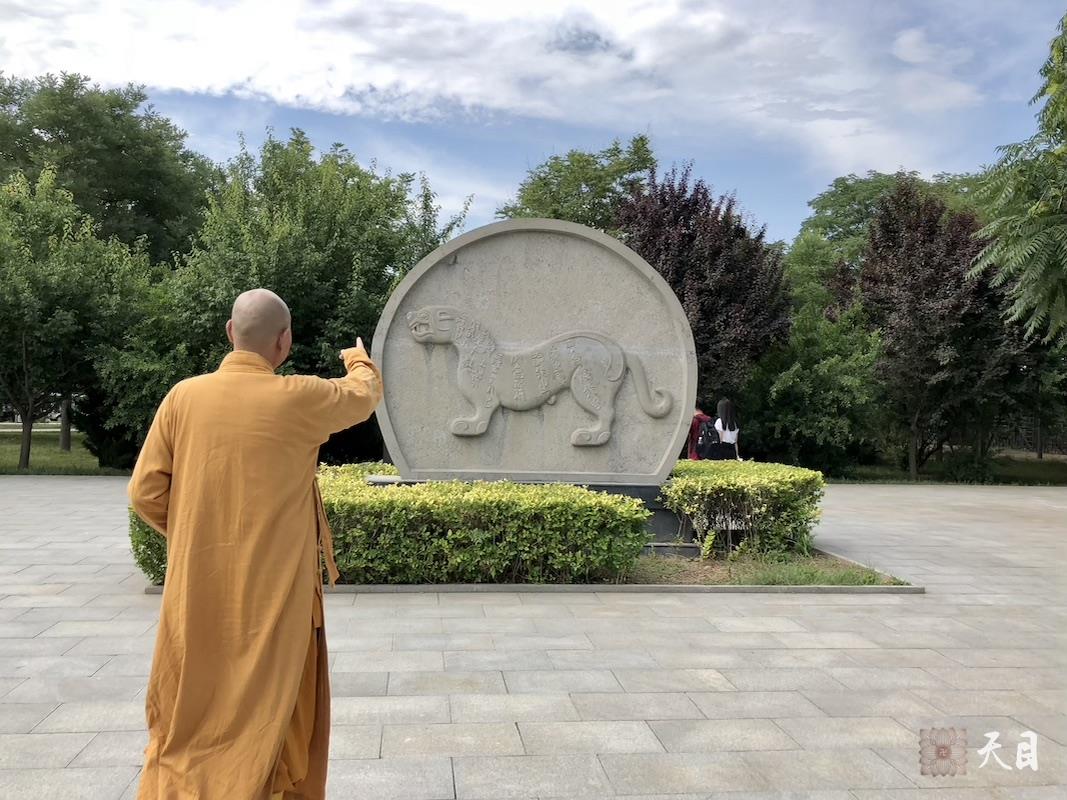 20180609圣观法师在西安带领果实法师等弟子参观秦始皇陵遗址公园丽山园