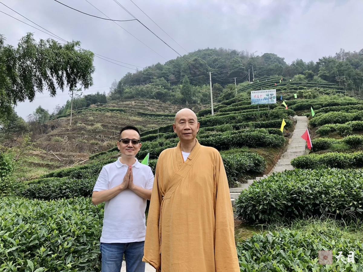 20180701圣观法师带领果实法师等弟子应宁德宗教局陈瑞扬局长邀请到福鼎磻溪茶山考察白茶2