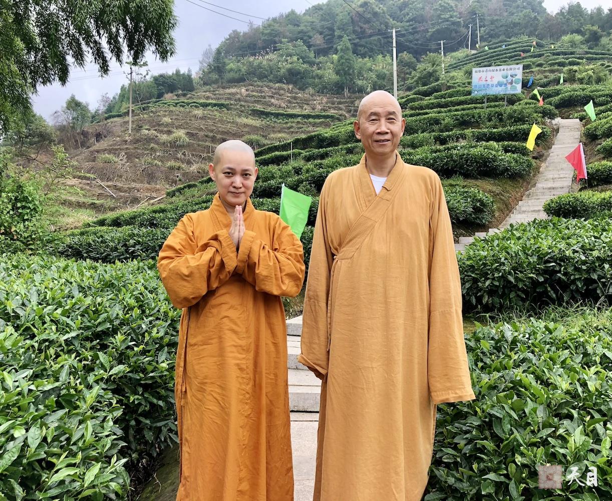 20180701圣观法师带领果实法师等弟子应宁德宗教局陈瑞扬局长邀请到福鼎磻溪茶山考察白茶2