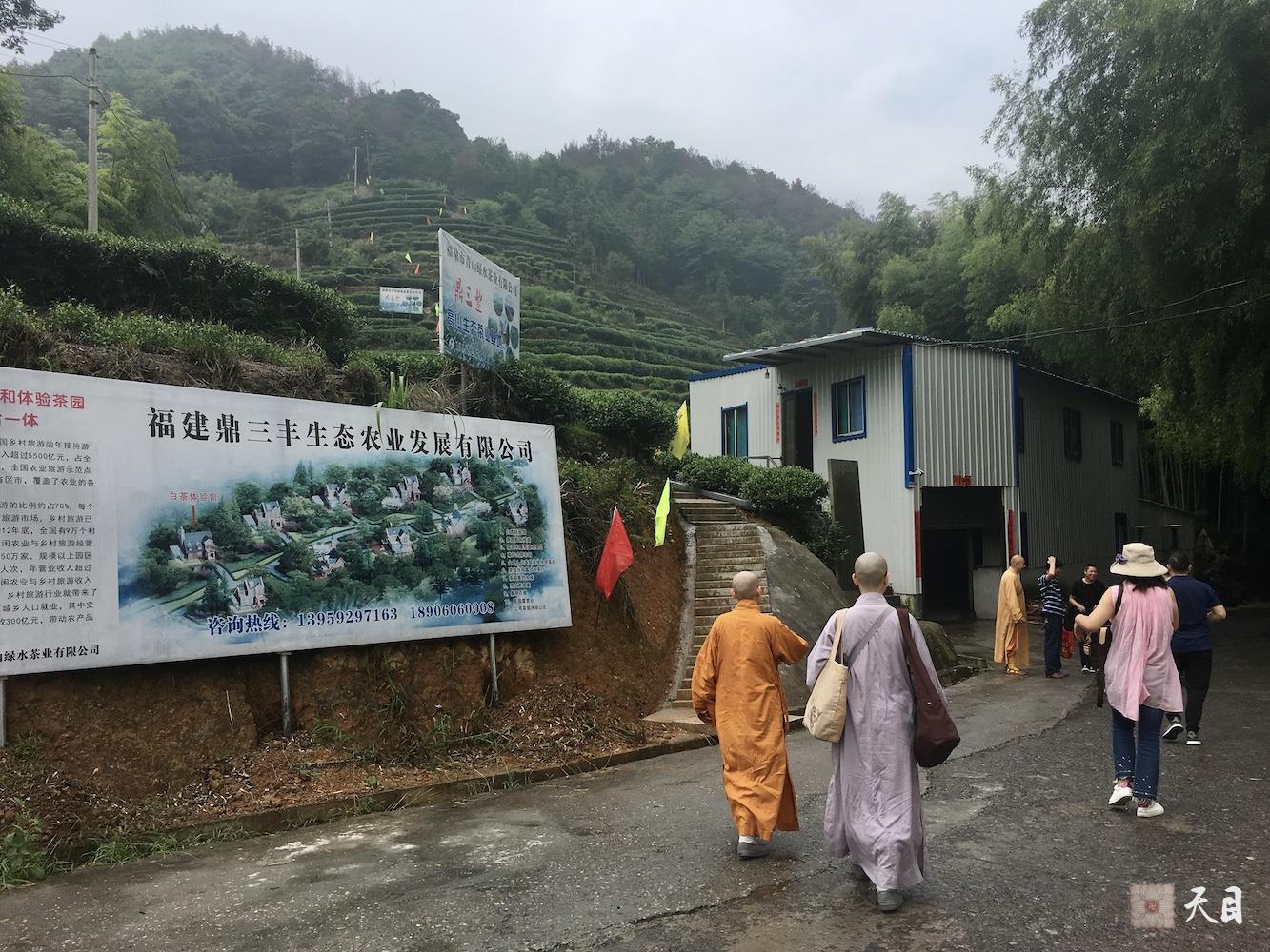 20180701果实法师领众跟随恩师圣观法师应宁德宗教局陈瑞扬局长邀请到福鼎磻溪茶山考察白茶2