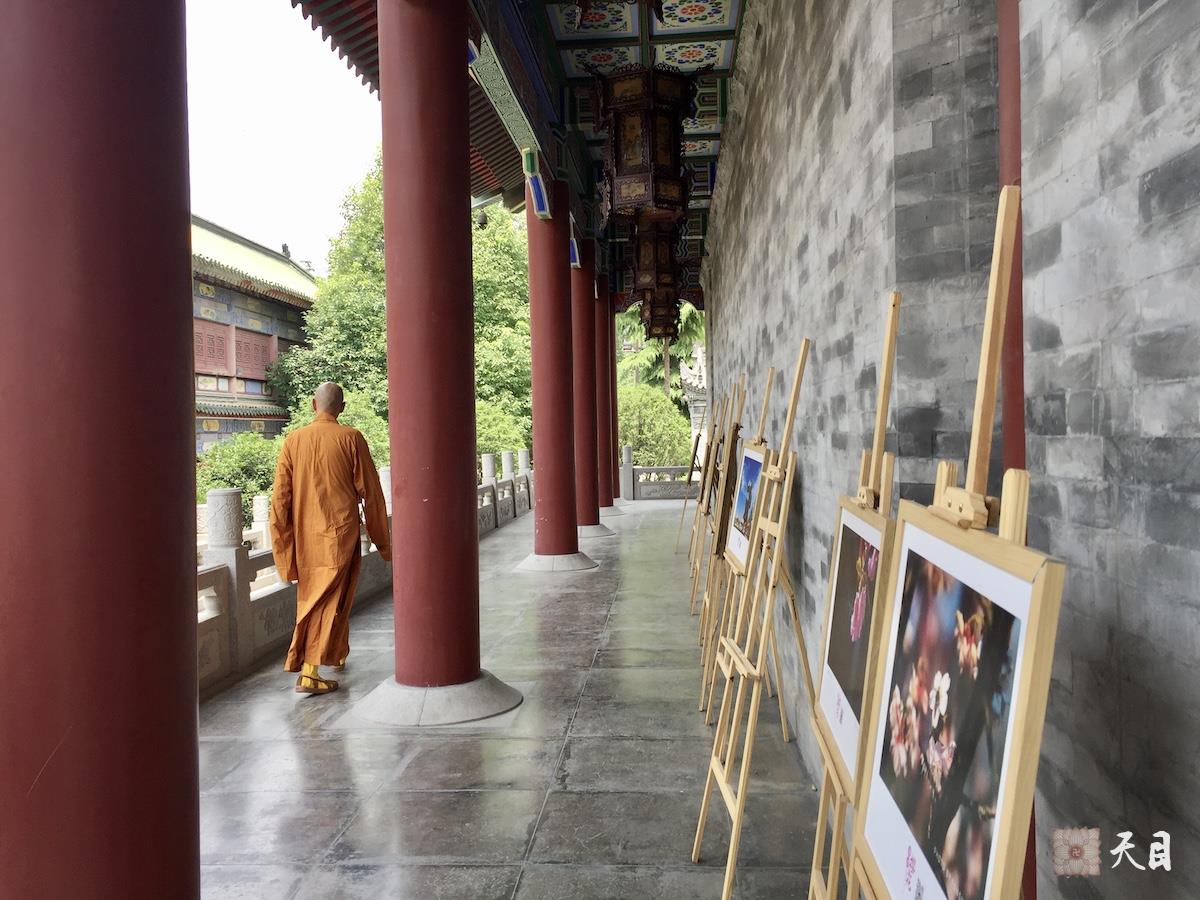 20180518圣观法师带领果实法师等弟子在西安密宗祖庭大兴善寺参学4