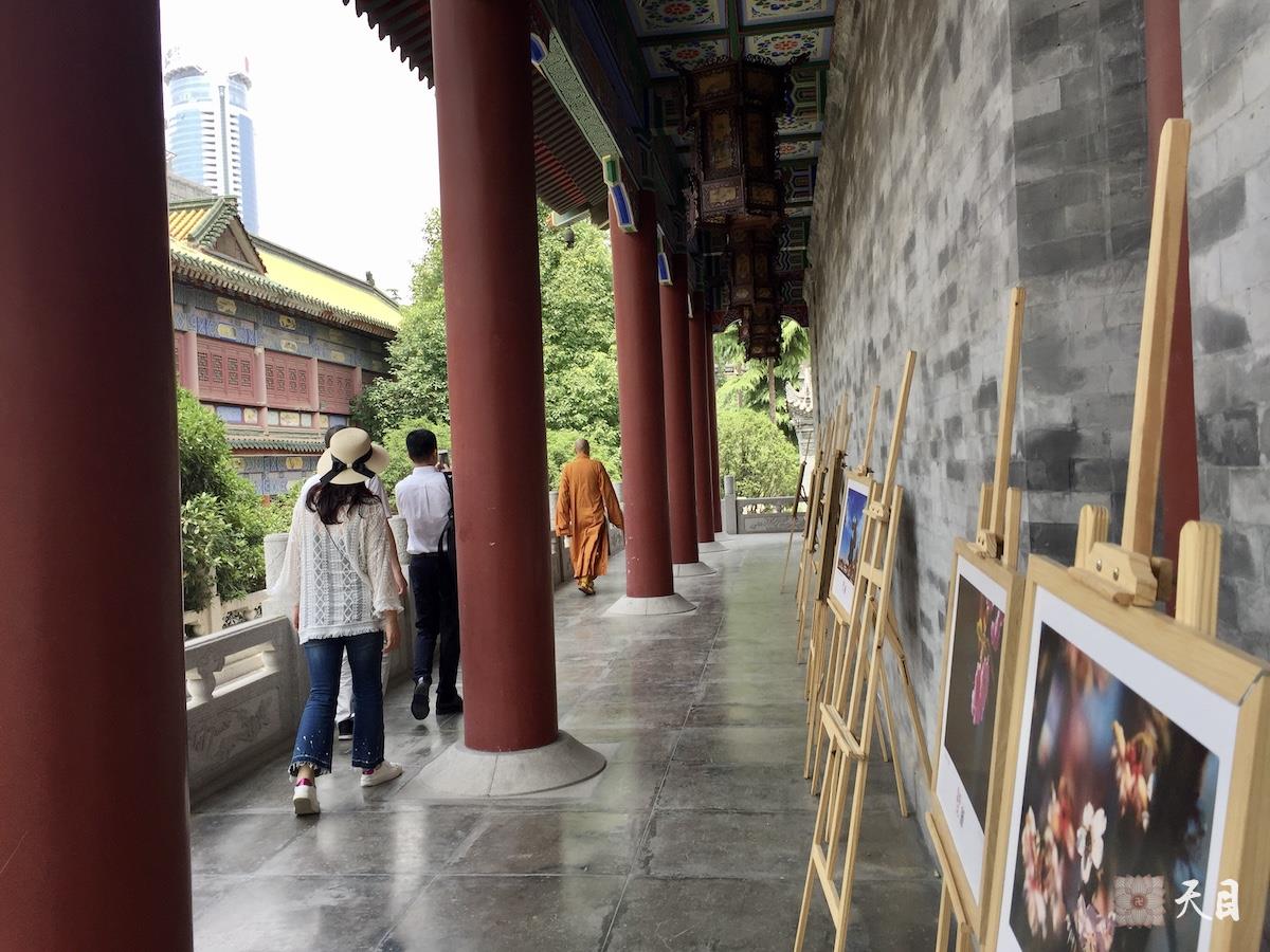 20180518圣观法师带领果实法师等弟子在西安密宗祖庭大兴善寺参学4