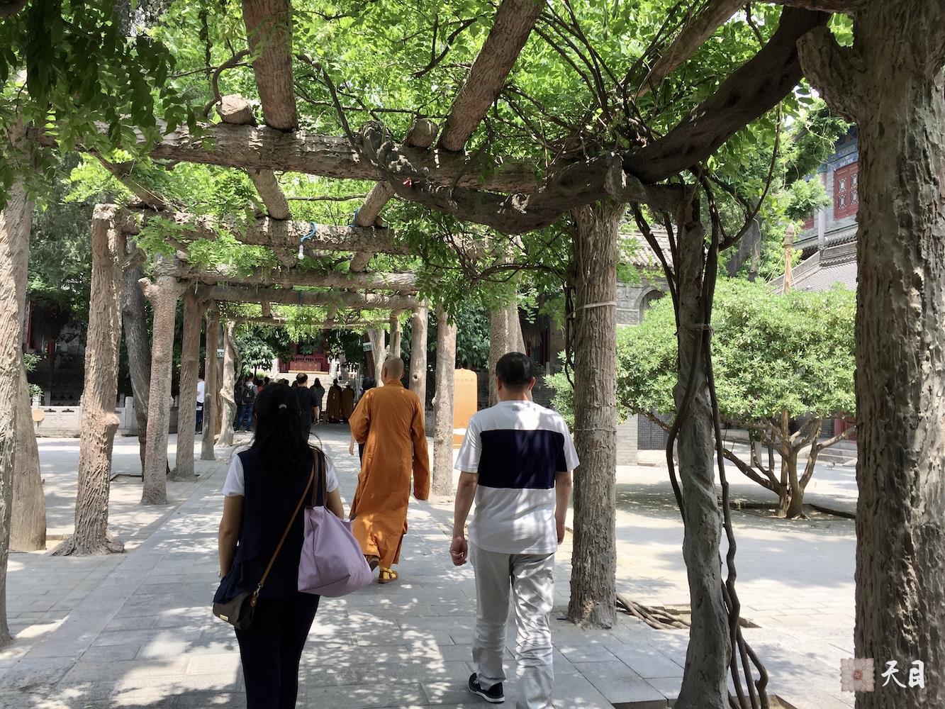 20180518圣观法师带领果实法师等弟子在西安密宗祖庭大兴善寺参学5