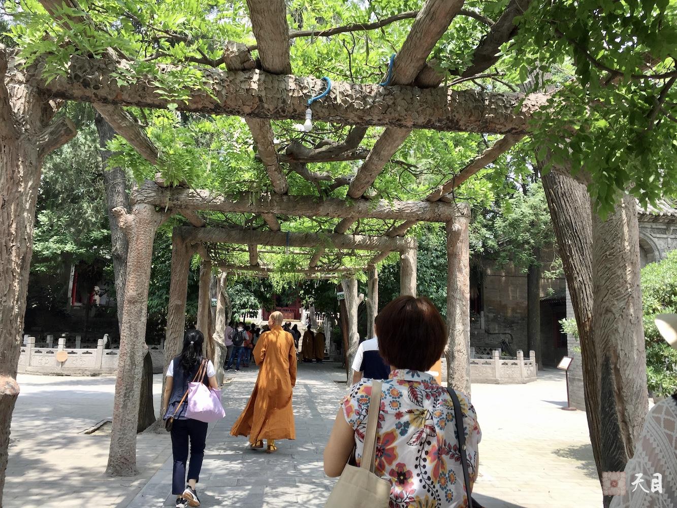 20180518圣观法师带领果实法师等弟子在西安密宗祖庭大兴善寺参学5