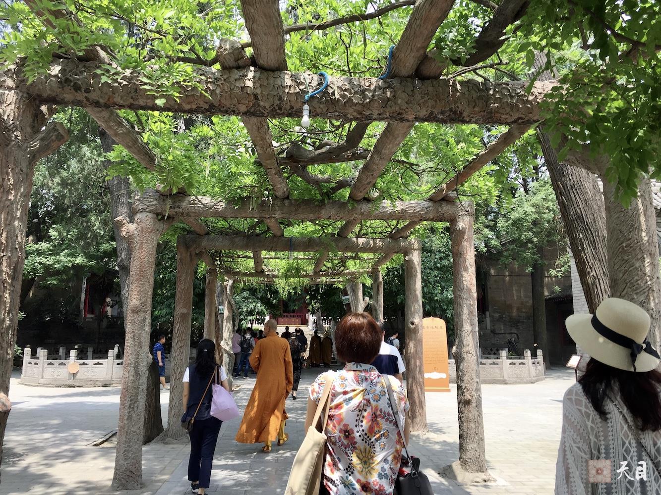 20180518圣观法师带领果实法师等弟子在西安密宗祖庭大兴善寺参学5