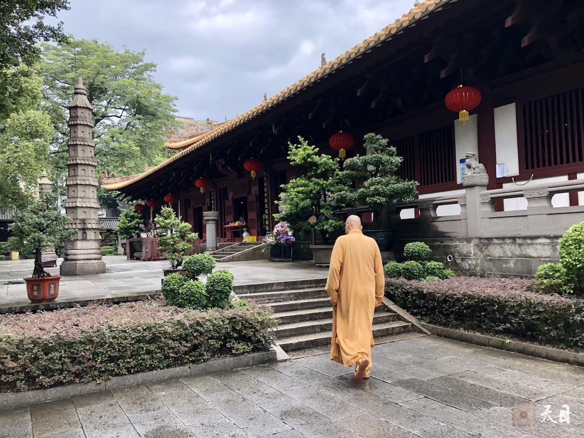 20180723圣观法师带领果实法师等弟子在广州光孝寺参学1
