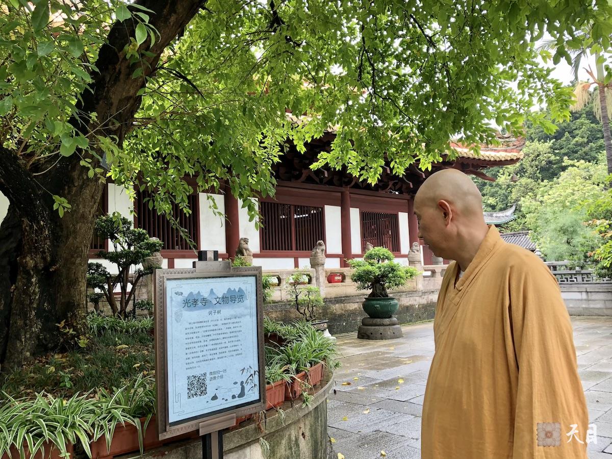 20180723圣观法师带领果实法师等弟子在广州光孝寺参学3