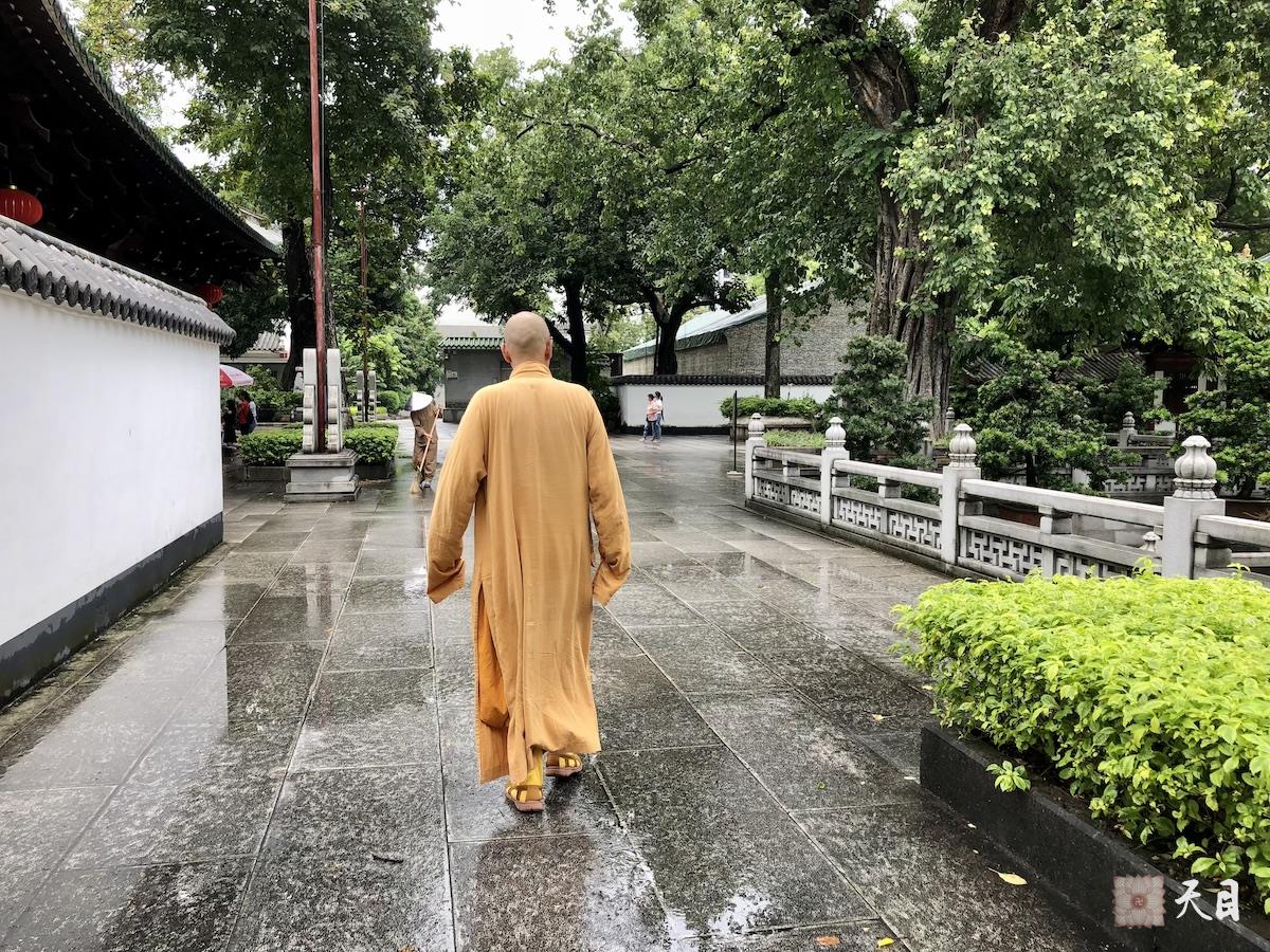 20180723圣观法师带领果实法师等弟子在广州光孝寺参学3