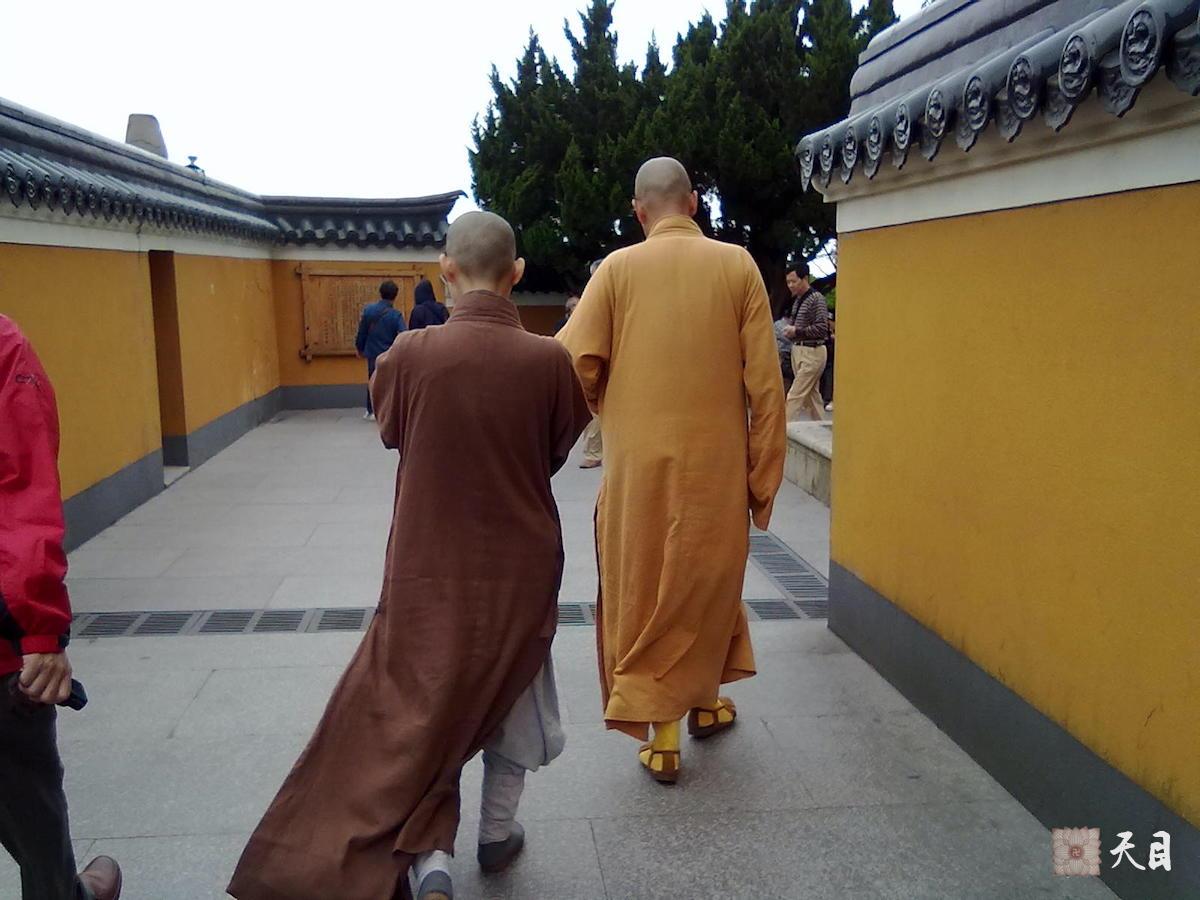 20110524圣观法师带领果实法师等弟子在浙江舟山普陀山参学3