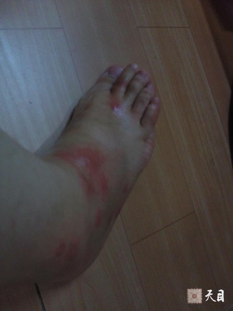 20100915-1014果实法师仰仗恩师圣观法师在江西云居山瑶田寺宽敬和尚尼座下圆具3