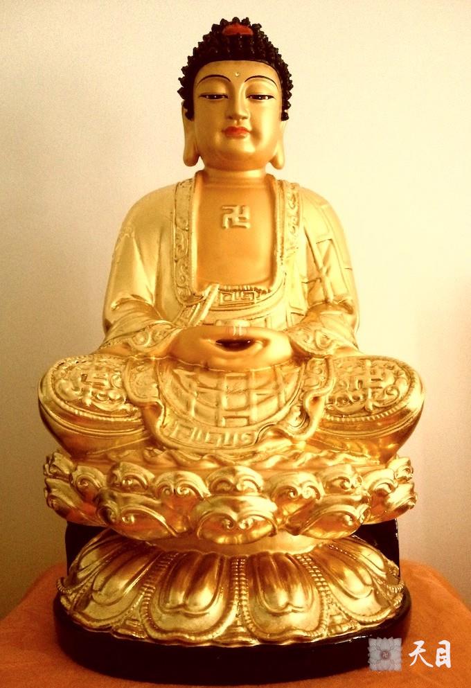 20100815果实法师为仰仗恩师圣观法师讲经前特意在恩师圣观法师广州马赛精舍佛像前自拍