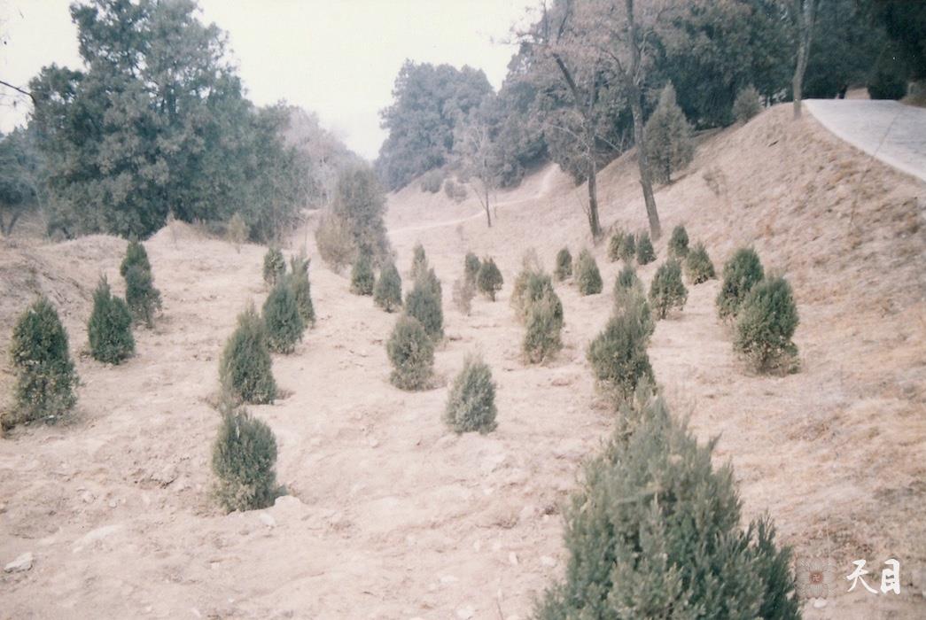 19991219徐志强（出家前的圣观法师）迎澳门回归凯旋黄帝陵立碑2