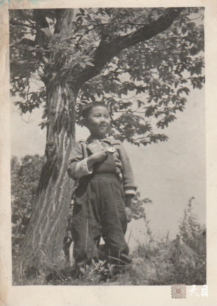 1961年至1979年的徐志强（出家前的圣观法师）