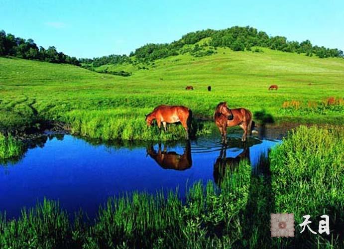 2001年夏徐志强（出家前的圣观法师）和陕西省政府秘书长梁和平在关山草原合影