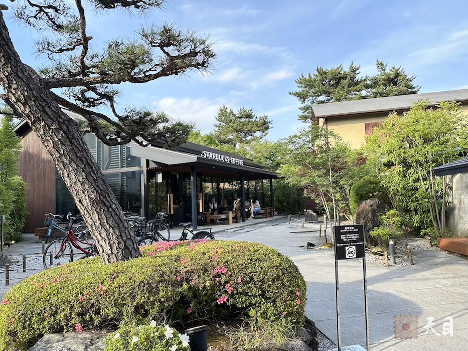 20240517果实法师仰仗恩师圣观法师专程来到日本宇治考察抹茶推广贞素