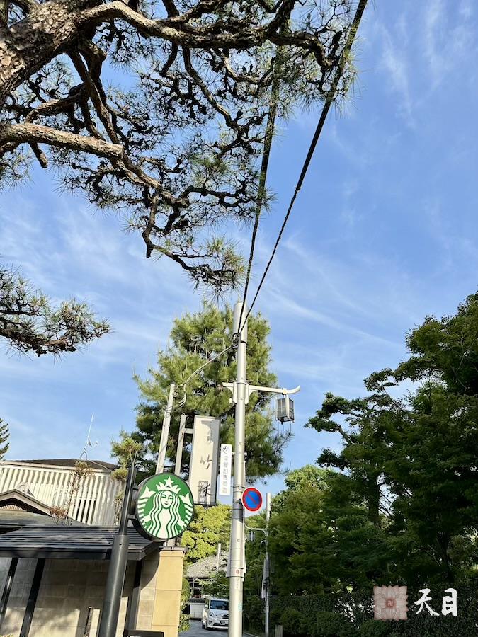 20240517果实法师仰仗恩师圣观法师专程来到日本宇治考察抹茶推广贞素