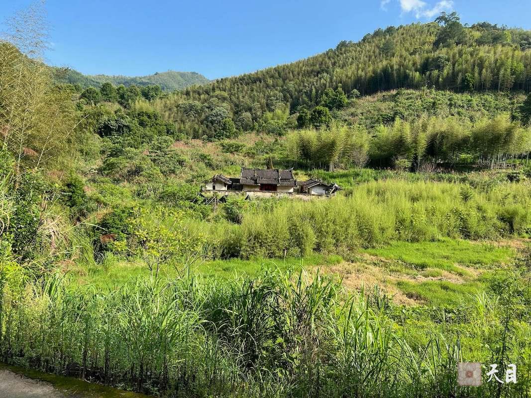 20240526圣观法师在福建龙岩新罗万安四村村西坑源自然村徐氏宗祠崇德堂拜祖宗1