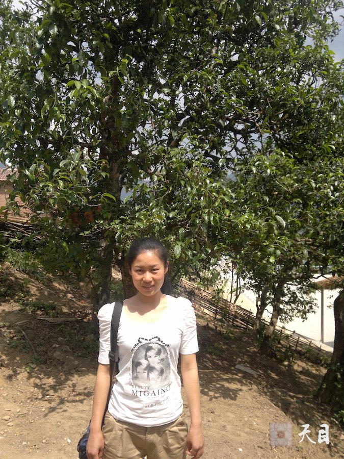 20120420圣观法师在阿慧李贞慧居士云南临沧古树坝糯藤条茶老家2
