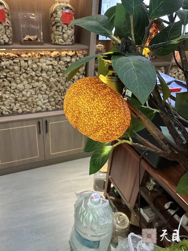 20260306圣观法师回到中山喜来登道场加持广州漠园贞素食茶贞素陈皮2