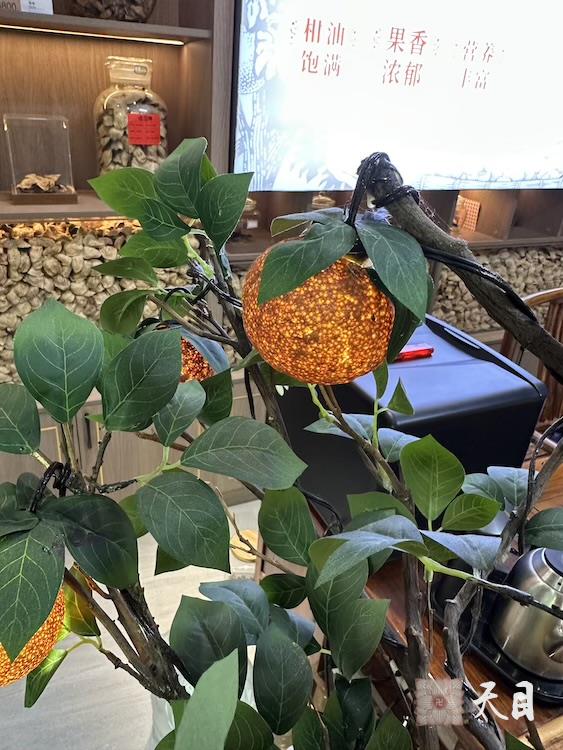 20260306圣观法师回到中山喜来登道场加持广州漠园贞素食茶贞素陈皮2