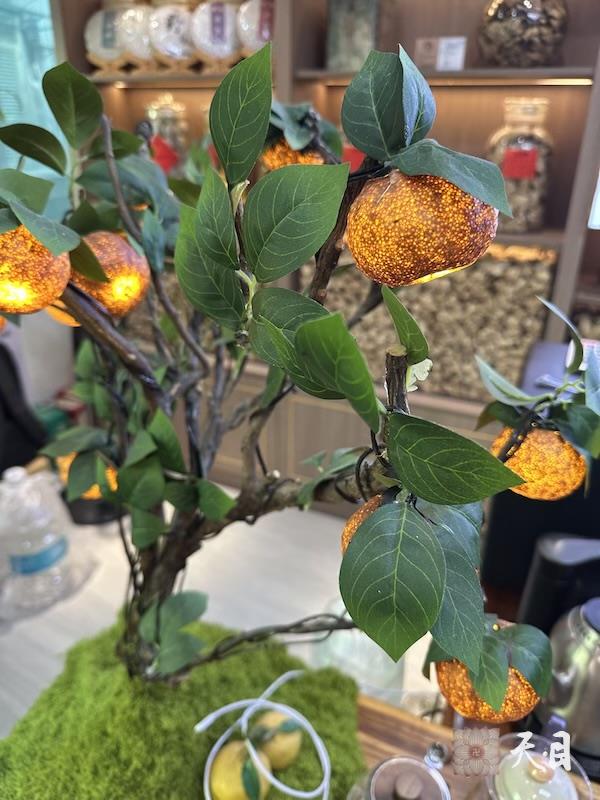 20260306圣观法师回到中山喜来登道场加持广州漠园贞素食茶贞素陈皮2